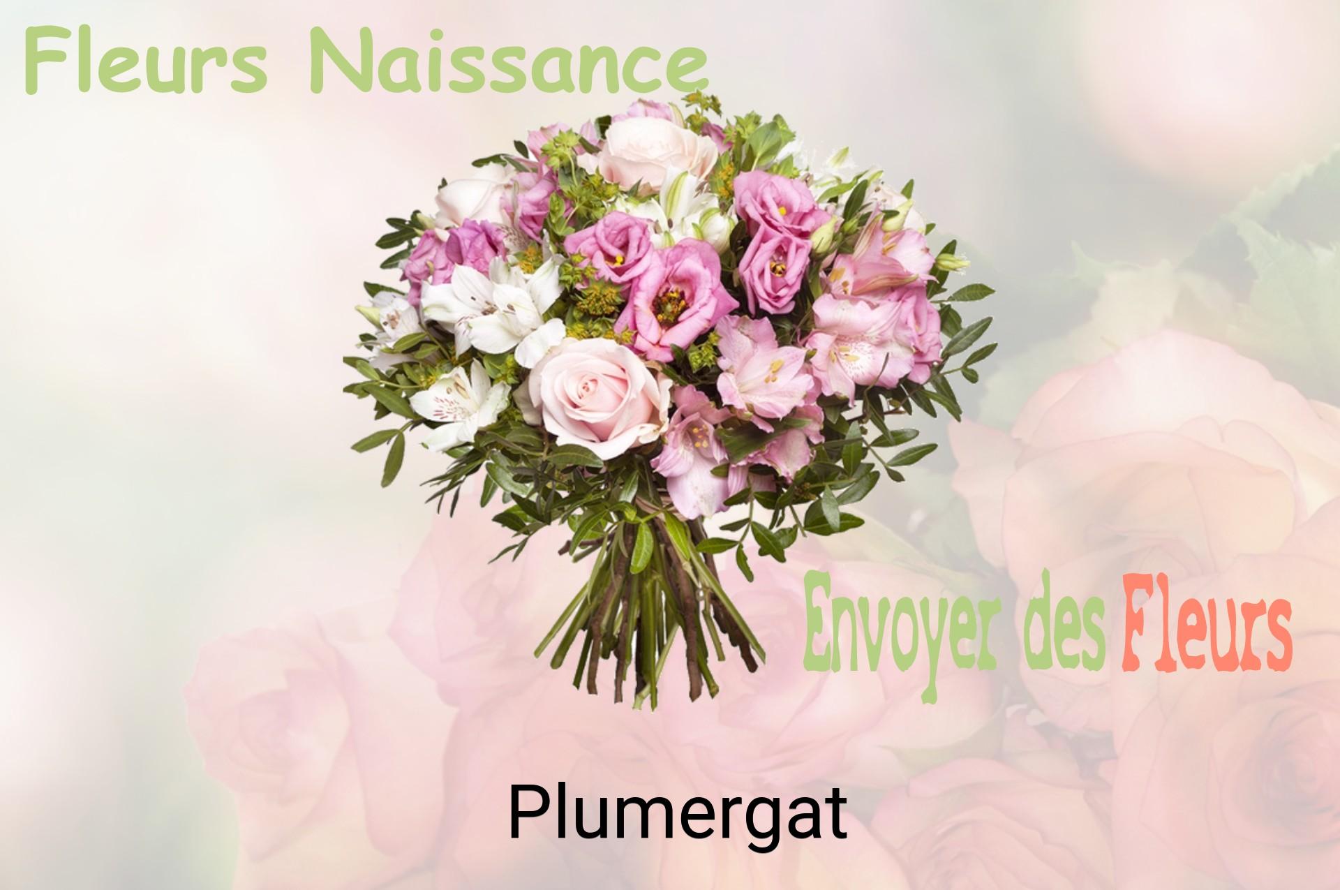 Bouquet de fleurs de naissance livré à Plumergat