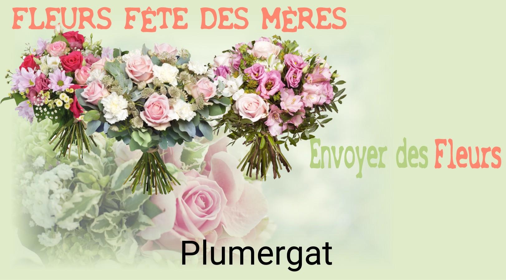 Bouquet de Fête des Mères livré à Plumergat